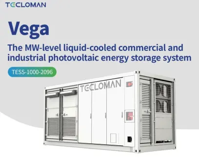 5475-251124_tecloman_vega_1000_2096