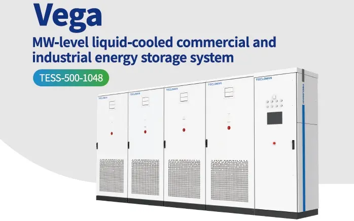 5574-251215_tecloman_vega_tess_500_1048